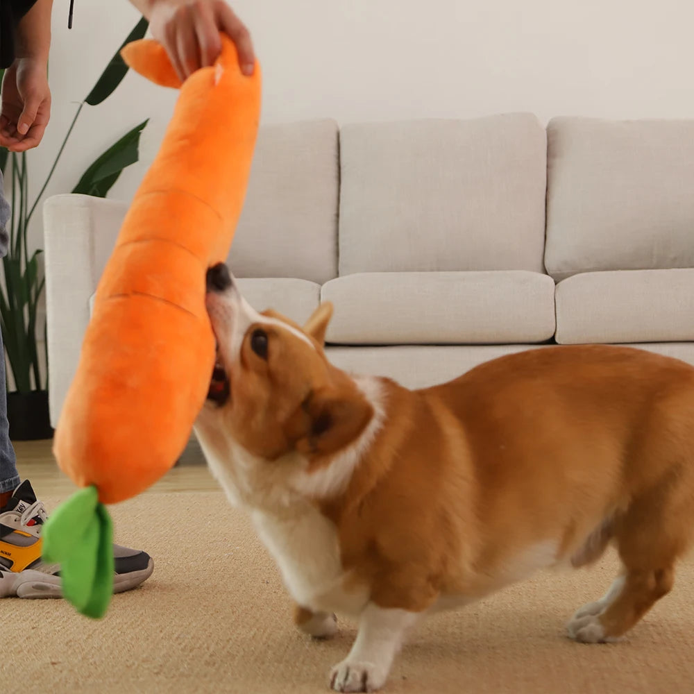 Plush Toy Carrot For Dogs