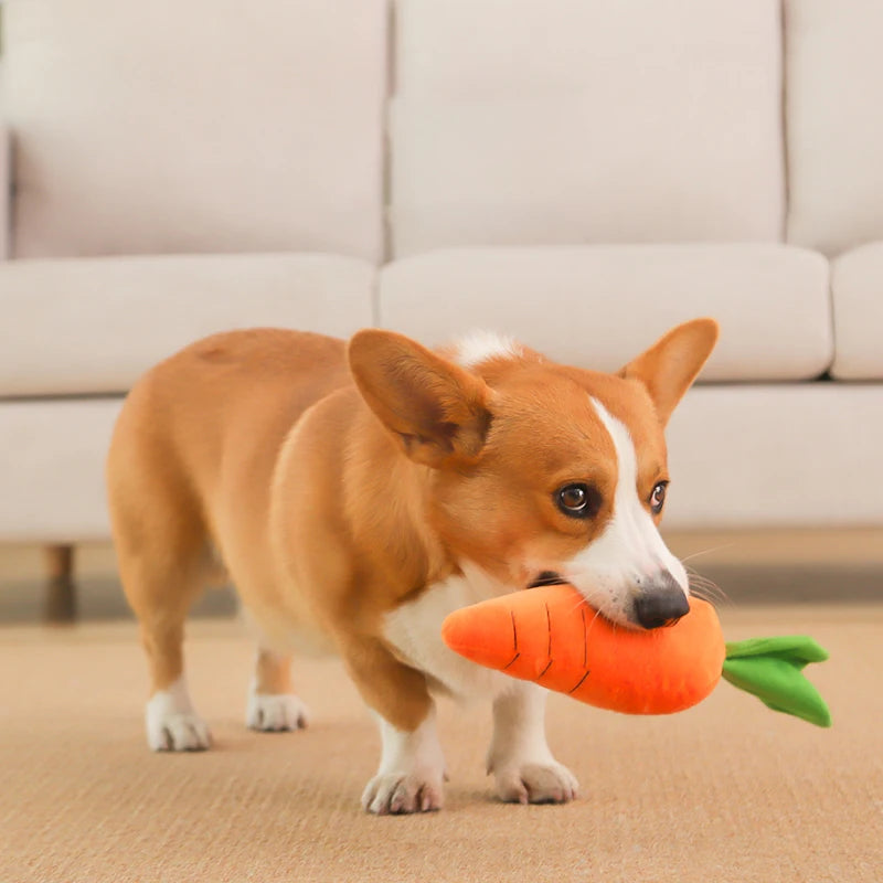 Plush Toy Carrot For Dogs