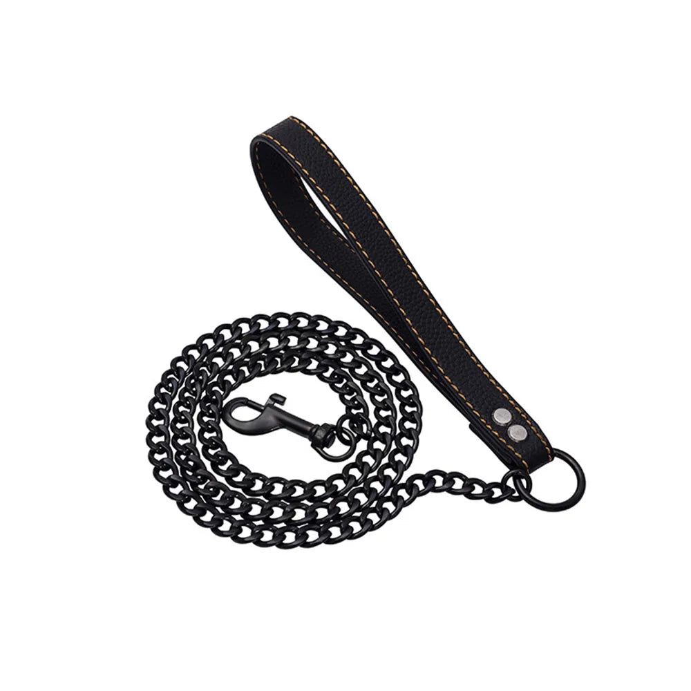 Golden Dog Chain Leash