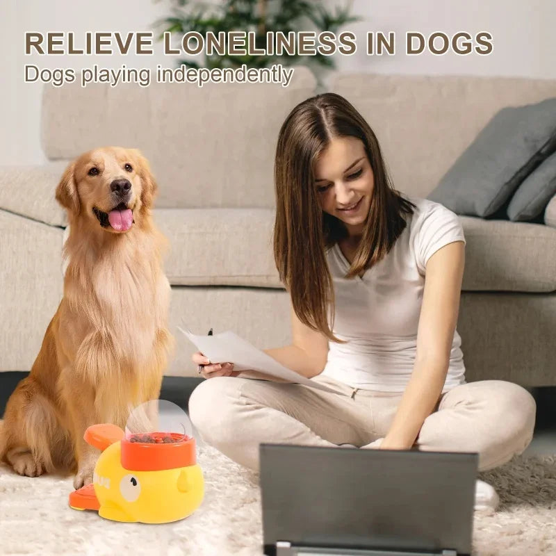 Pet Automatic Treat Dispenser