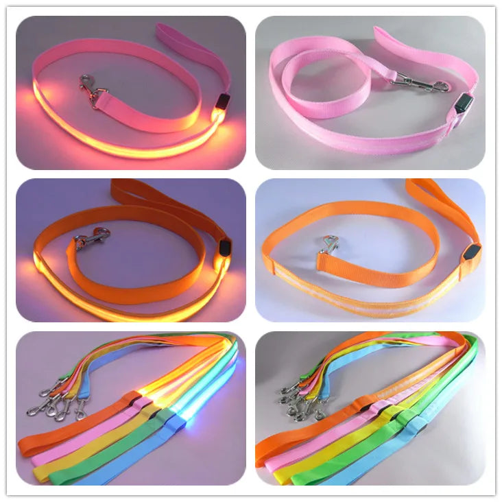 LED Light Up Dog Leash