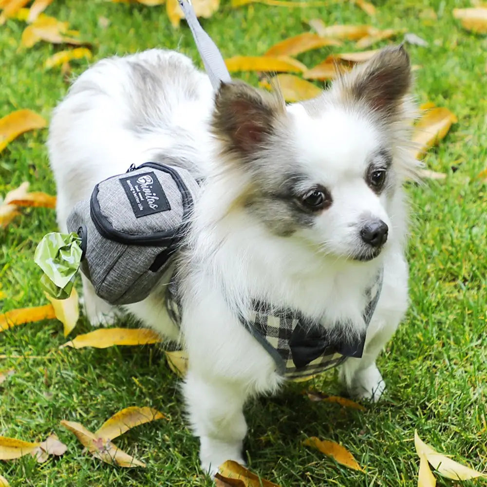 Dog Poop Bag Dispenser