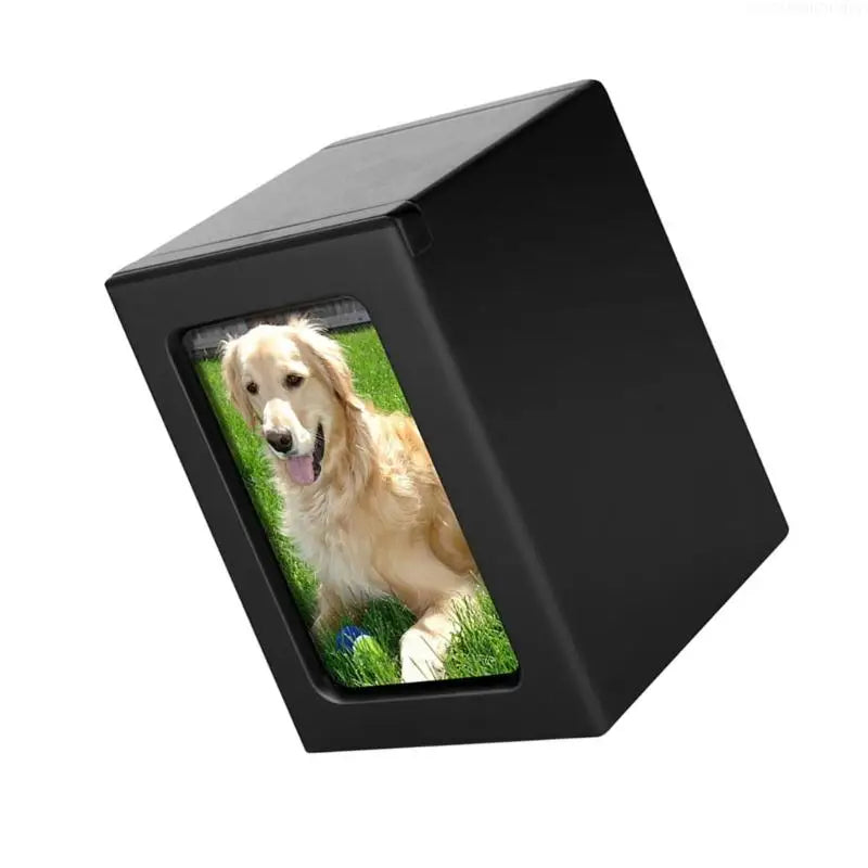 Pet Ashes Memorial Box